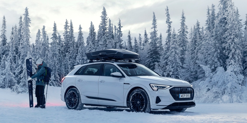 Vector cheap alpine thule